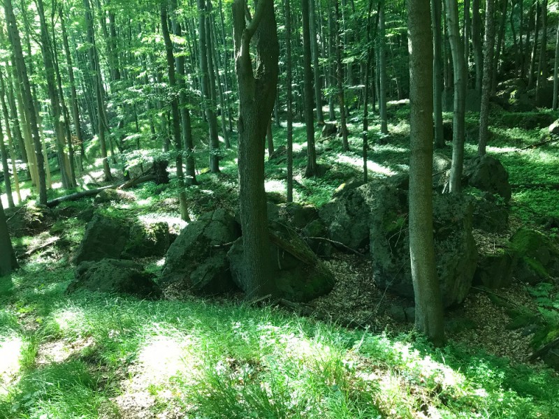 - 28 - Zelená krása.....jpg